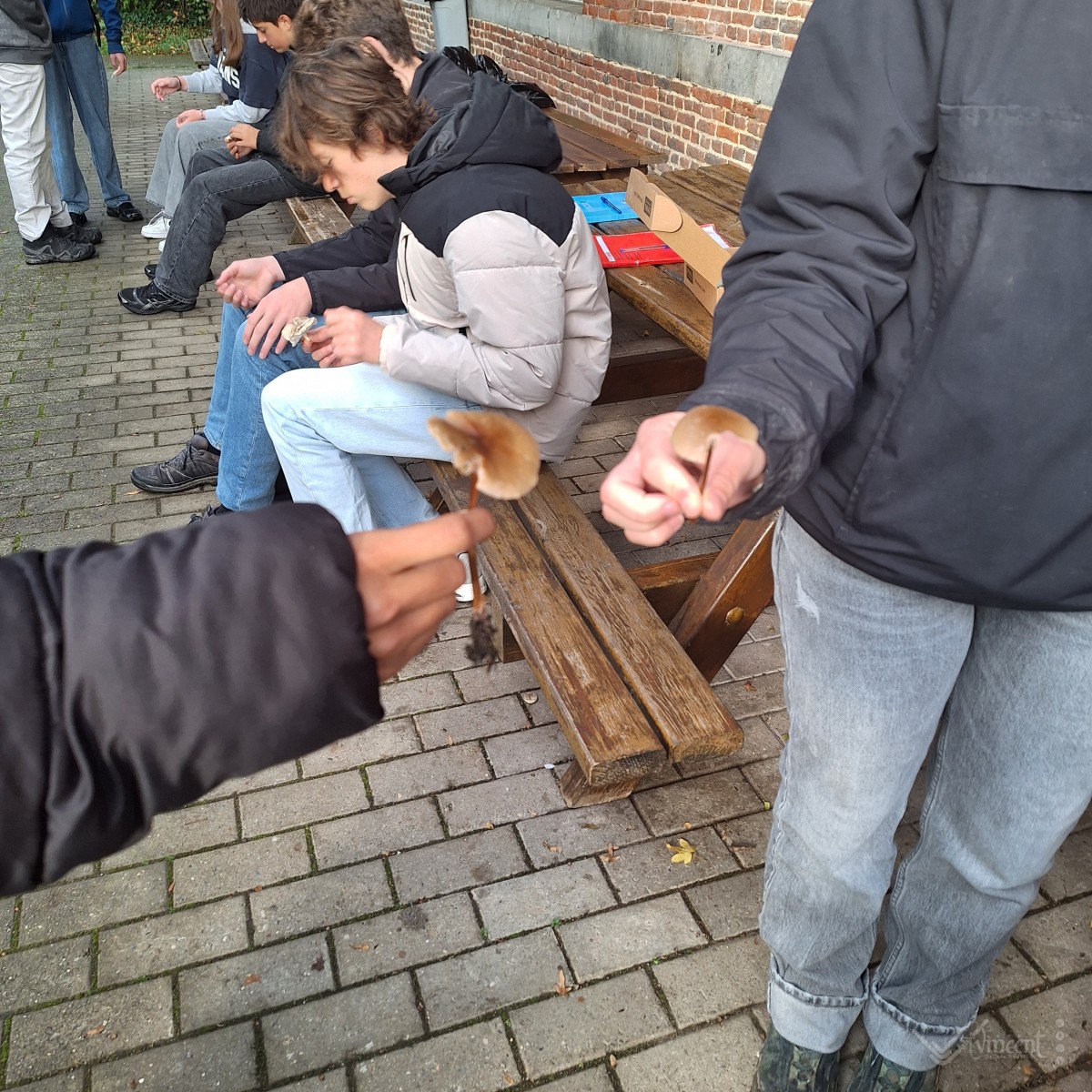 Journée « interbio »