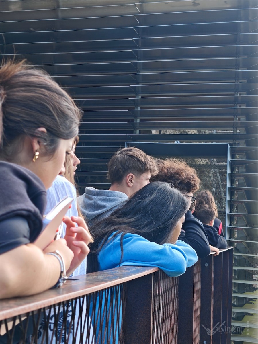 Séjour des 4e animation à Farniere