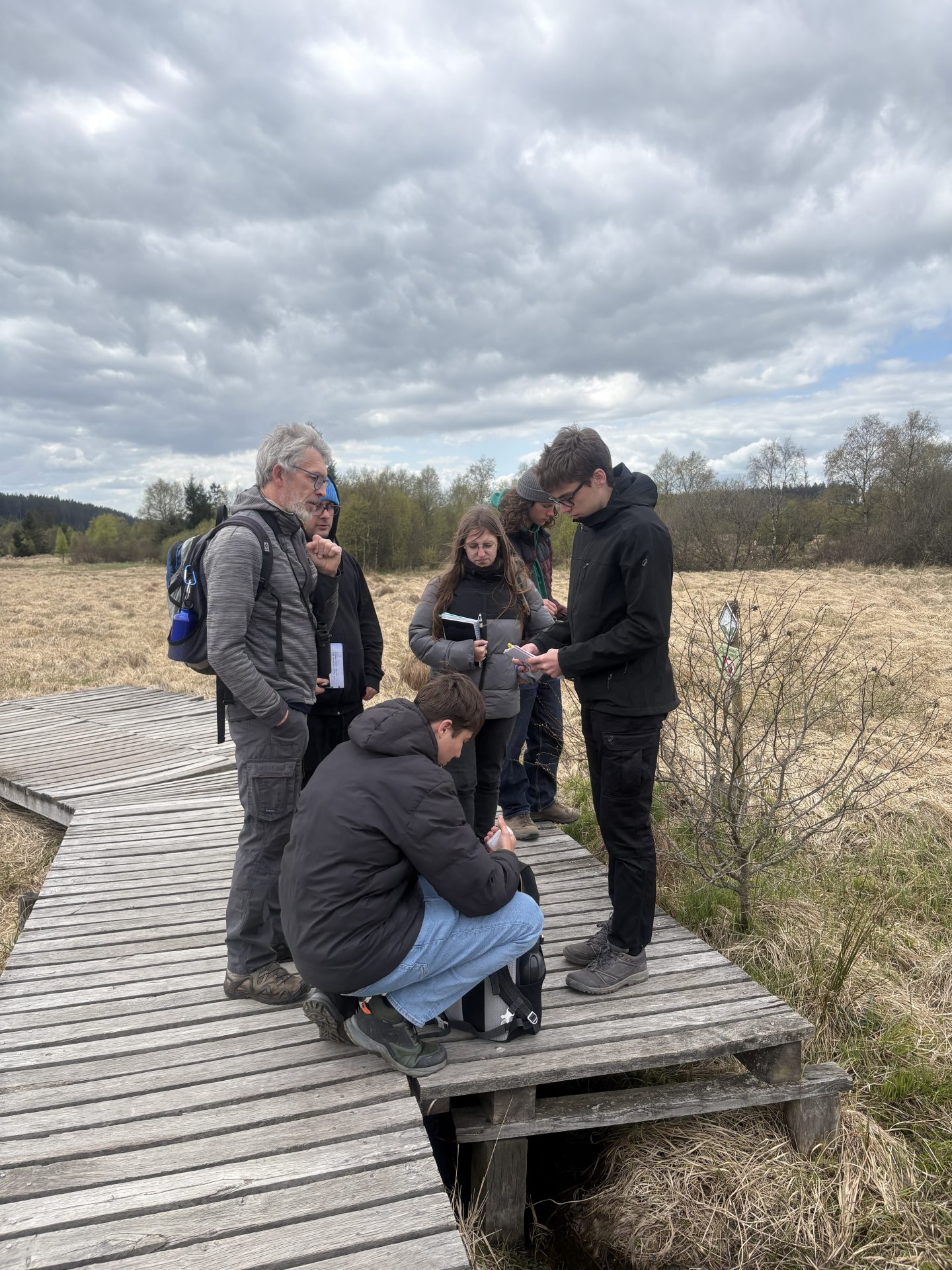 Stage des 6e bio dans les Hautes Fagnes